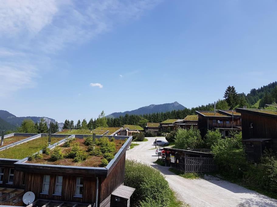 Chalet Chocolat *