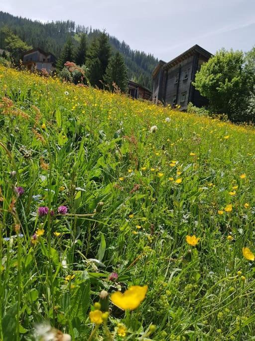 Chalet Chocolat